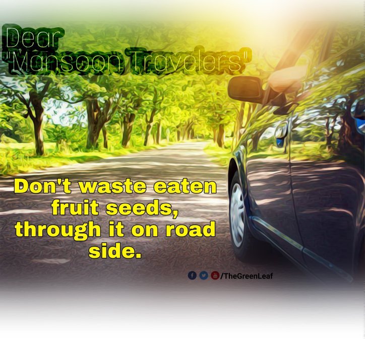 Venkeyprince79's tweet photo. #Mansoon🏞️ #Travel🚘 #Seeds🥑 #Forest🌳 #Highways🛣️ #Fruits🥭 #EcoFriendly♻️ #GreenChallenge✅ #Plantation🌱 #NatureBeauty🌾#GreenPlants🌿 #GoGreen🍃 #TGL https://t.co/O9CwbTQWaR