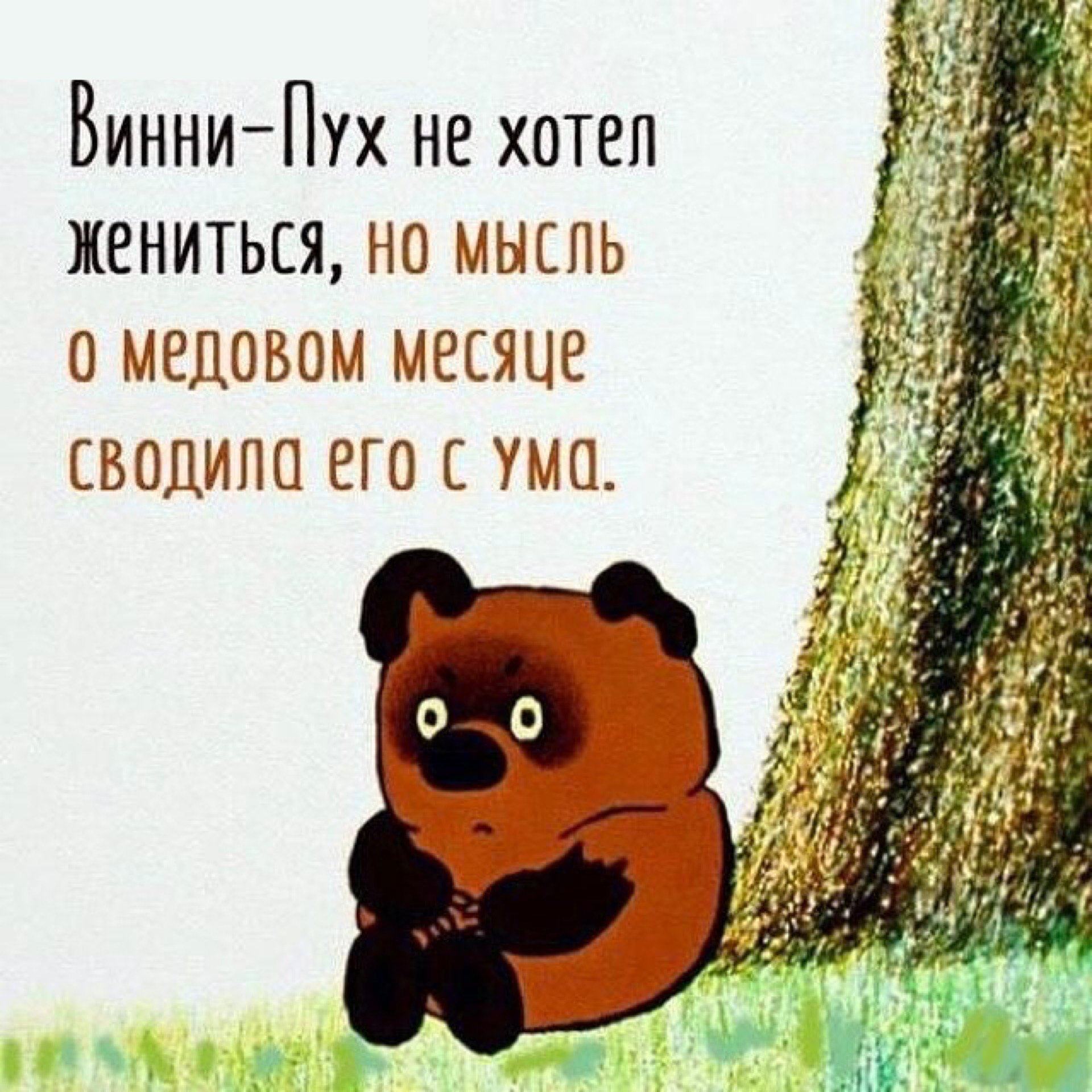 Картинки смешные с мед, днем
