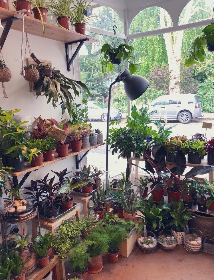 We’ve sold out! Today was supposed to be our final day but we’ve got nothing left so won’t be opening. Thanks to everyone who’s visited us and may your 🌵be a happy one. We’ll let you know what we end up doing next but for now bye bye. Rob, Ant &amp; Yolk.