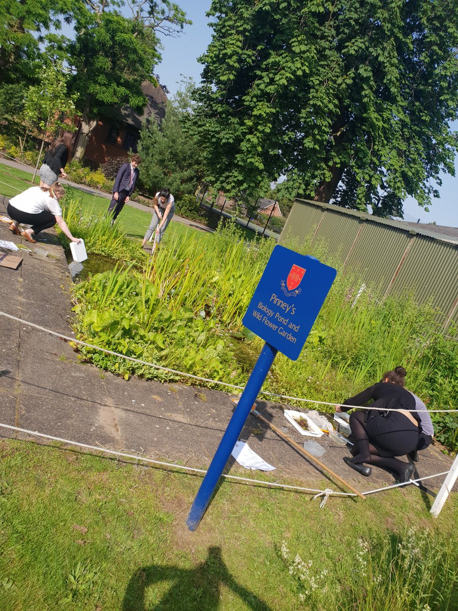 TrentBio's tweet image. Lovely sunny day, perfect excuse for a pond dip (followed by a pinic)! #alevel #ecology #samplingtechniques @TrentCollege