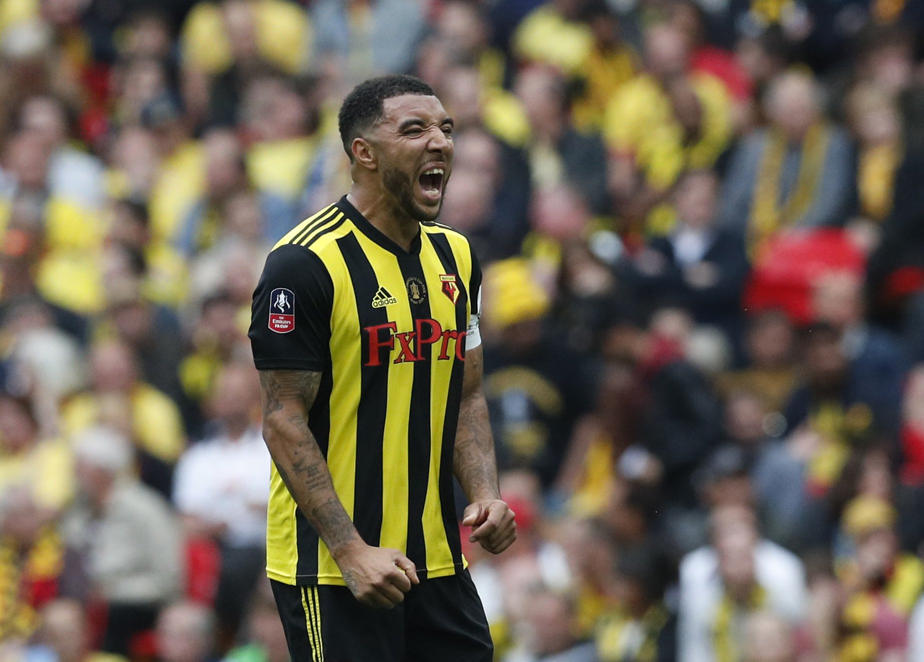 Happy birthday, Troy Deeney! 9 years at Watford  123 goals FA Cup runner-up

Captain. Leader. Cojones. 