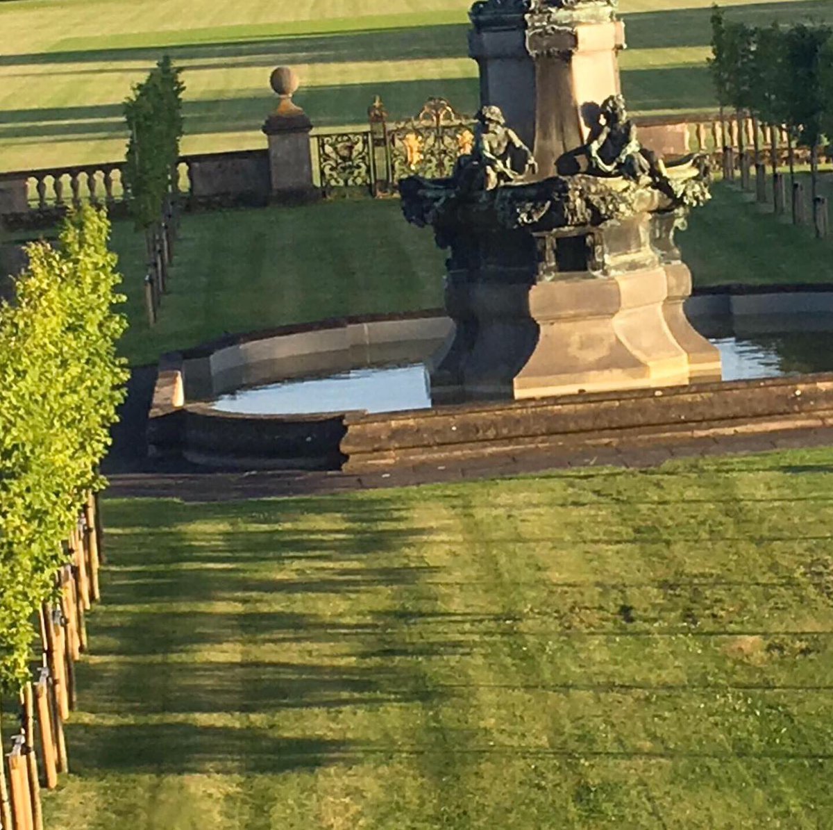 GreenMileTrees's tweet photo. Our trees grow in some of the country’s finest private gardens 🦚

#pleached #hornbeam #carpinus #ukgrown #mature #trees #private #garden #gardens #landscaping https://t.co/emedcWs9NC