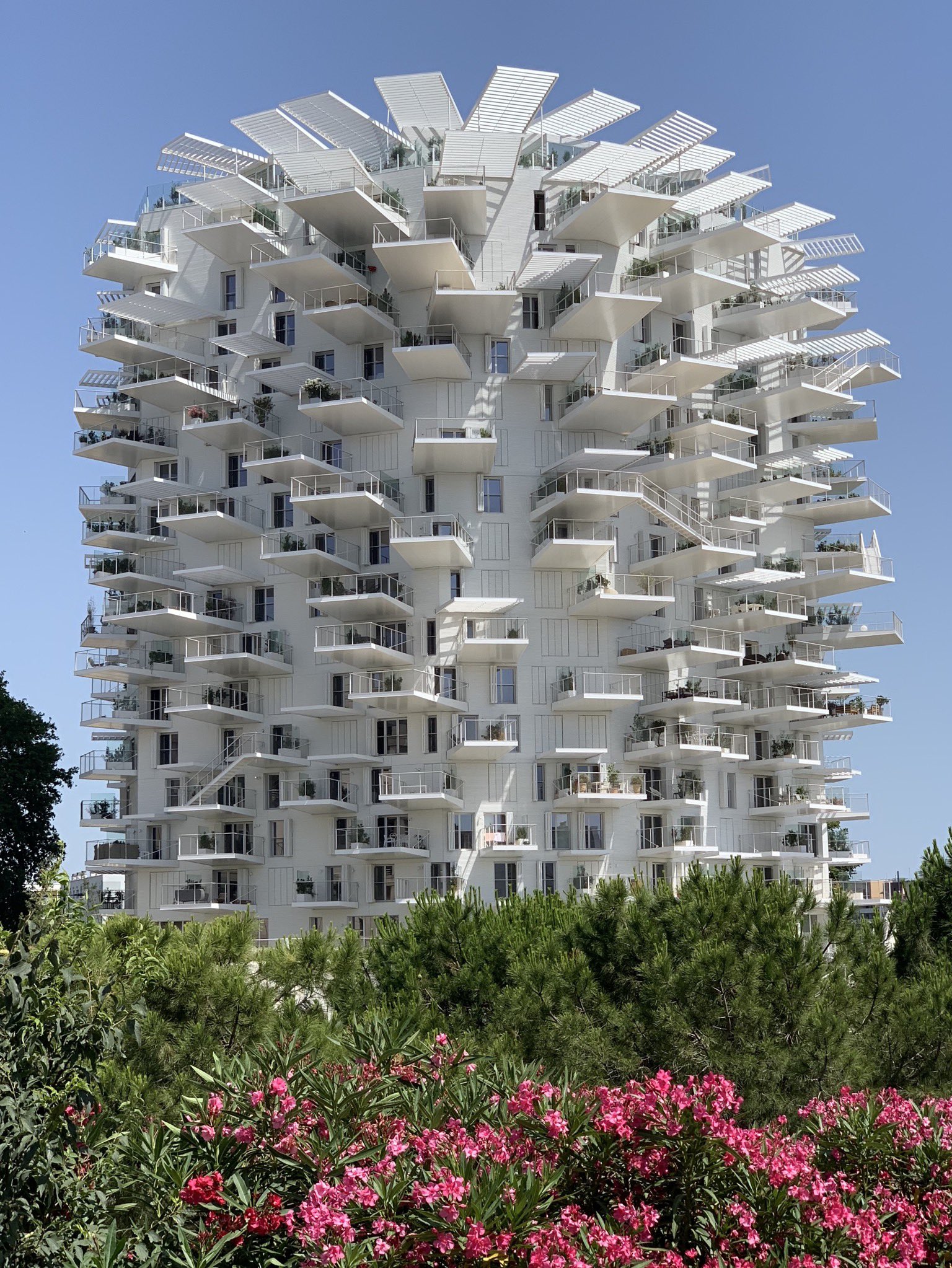 石川康晴 建築家藤本壮介さん フランス モンペリエの集合住宅 オフィス ギャラリーなどの複合施設を見学 日本人として誇らしいです T Co Tkr5cr92of Twitter