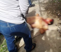 Ver imagen en Twitter