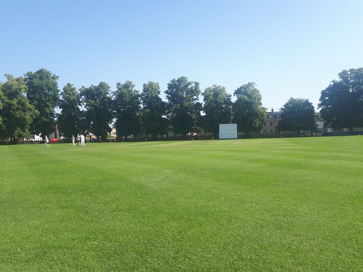 robbeeney's tweet photo. Saturday morning cricket https://t.co/2uVU5WWFve
