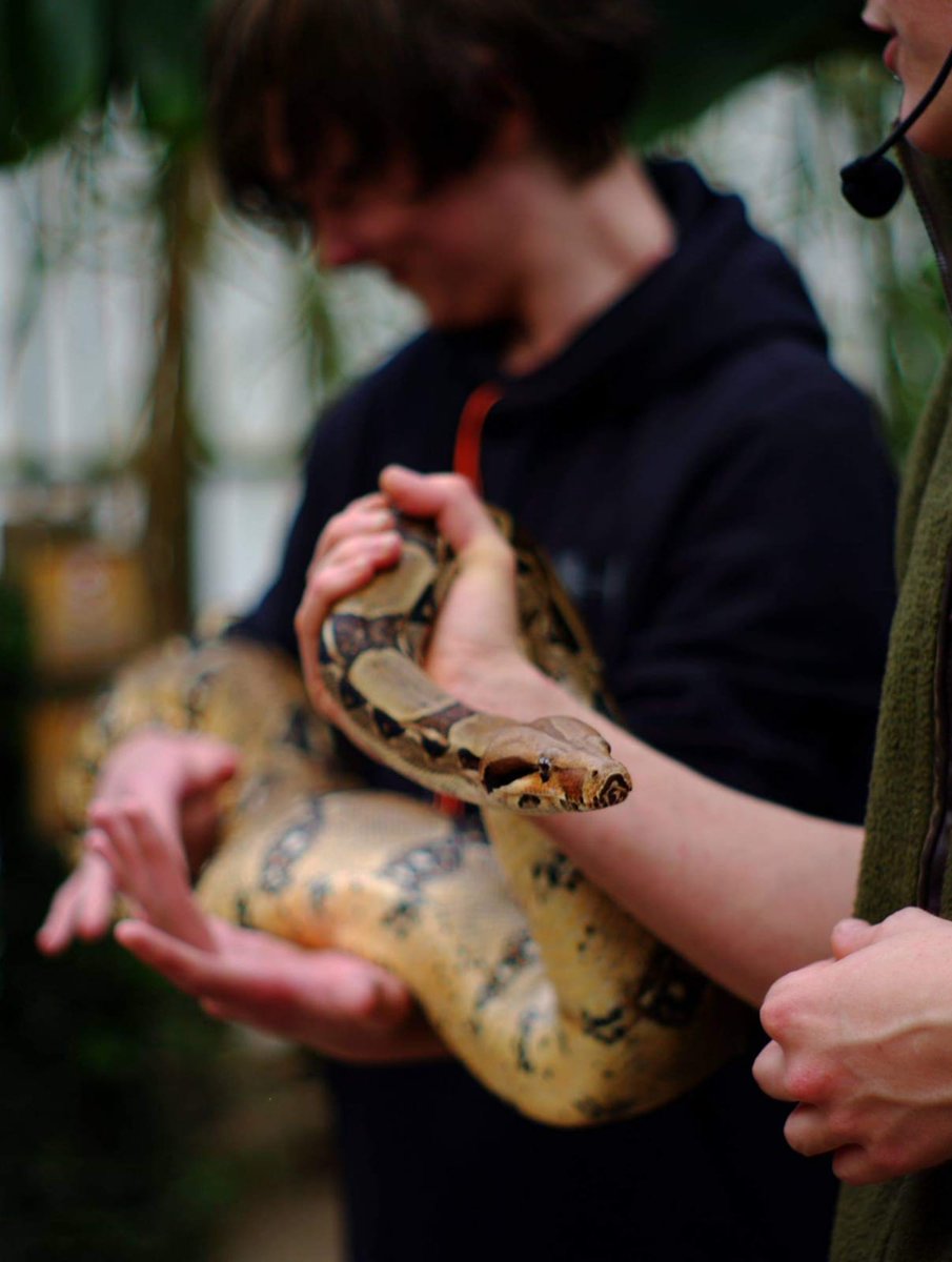 The Sara Cox Show (@thesaracoxshow) on Twitter photo Fancy yourself a jungle experience like <a href="/EmAtack/">Emily Atack</a>? Check out our top thrill-seeking picks:
Head along to @theBGAdventure for assault courses, rock climbing and indoor skydiving!
Into creepy crawlies? Check out <a href="/BugtopiaZoo/">Bugtopia the Zoo</a> for interesting species & animal handling sessions! Fancy yourself a jungle experience like <a href="/EmAtack/">Emily Atack</a>? Check out our top thrill-seeking picks:
Head along to @theBGAdventure for assault courses, rock climbing and indoor skydiving!
Into creepy crawlies? Check out <a href="/BugtopiaZoo/">Bugtopia the Zoo</a> for interesting species & animal handling sessions!