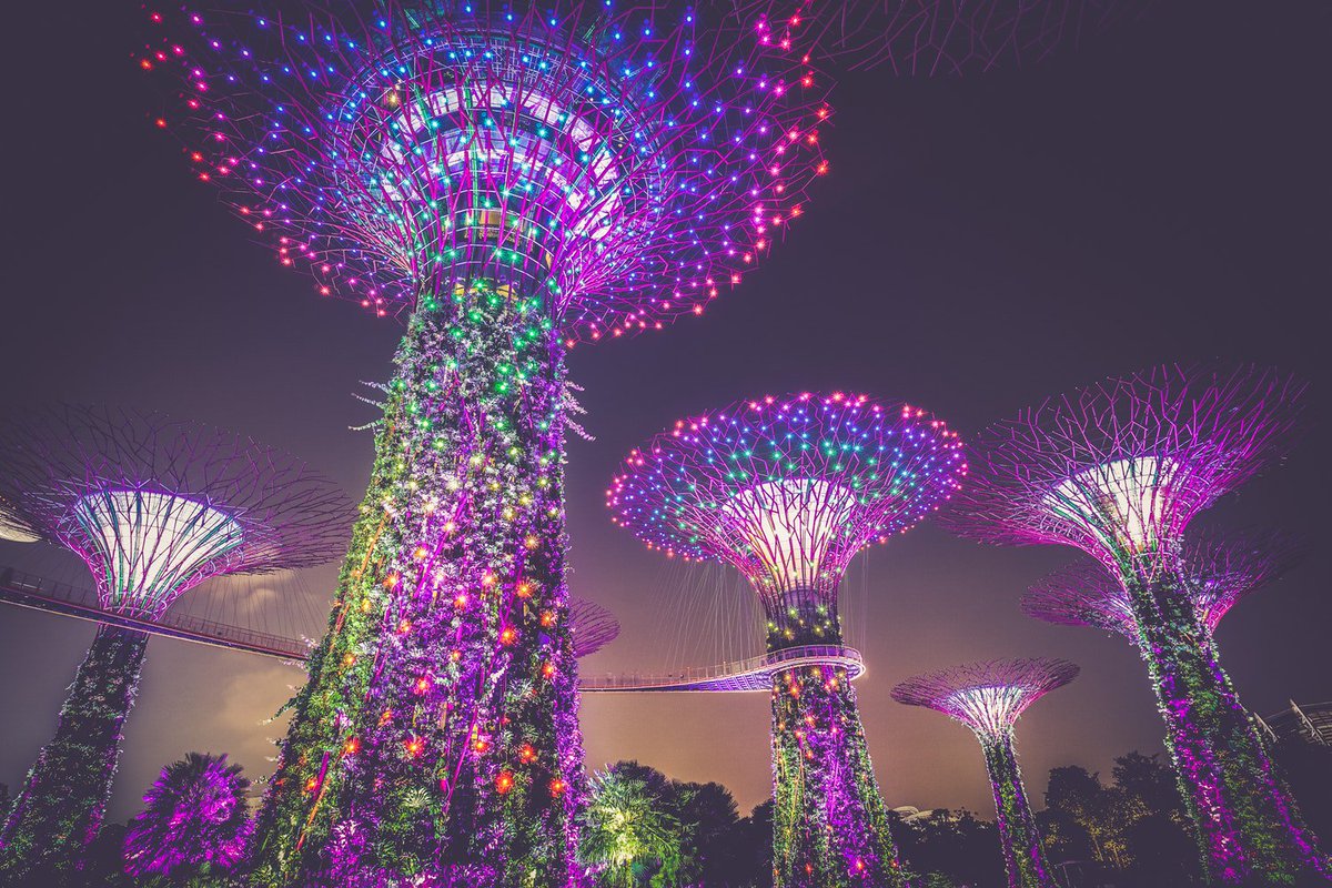 We're getting ready to pack our bags and head to a sunnier destination!😎 🌴 🍷

Are you off to Singapore with us this July? If not don't worry, we'll be sharing some jealousy inducing food, wine and tourism shots along the way!

#raidisestate #singapore #foodsafari #wine