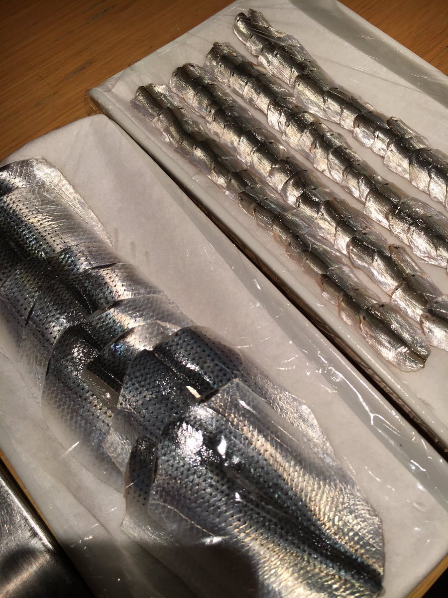 sushirabu040316's tweet image. #しんこ