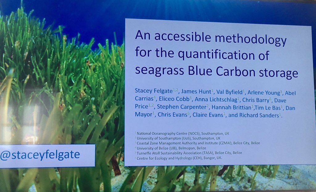 StaceyFelgate's tweet photo. A total pleasure to speak at the #BlueCarbonRSE meeting @news_RSE in Edinburgh yesterday. 

Such a vibrant #bluecarbon research community developing in #Scotland, clearly benefiting from @scotgov support on the topic - exciting ideas 💡and real progress being made 👏🏻 https://t.co/tP6SyBtWWM