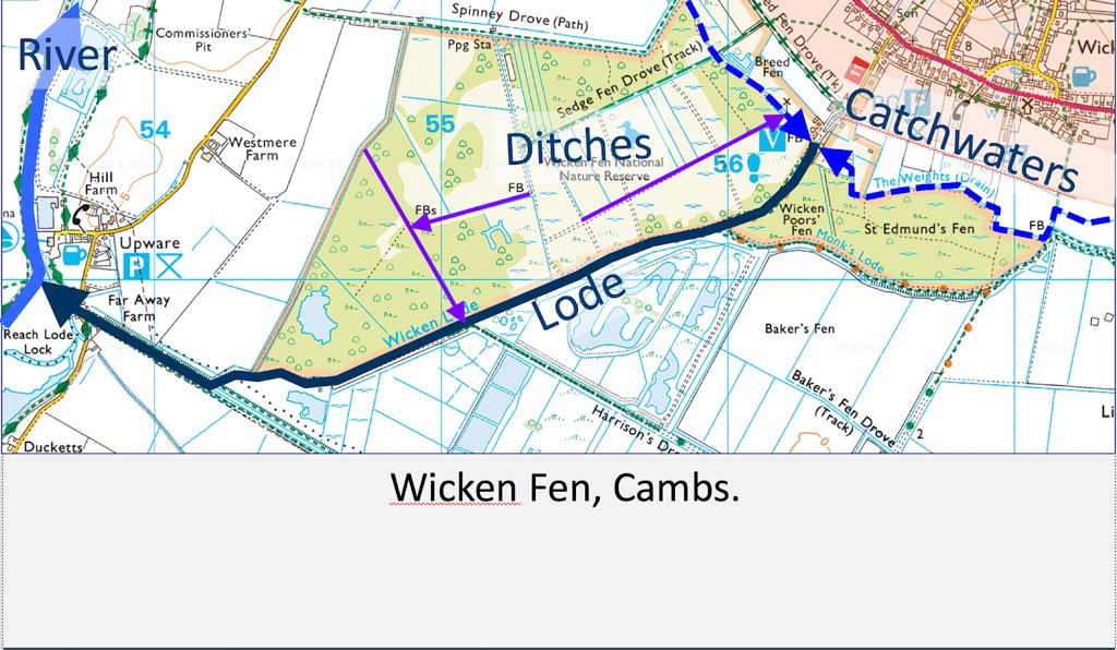 14. ... fenmen dug ditches - not many, just enough - to carry the water collecting in the fen into the catchwaters or the lodes. The whole system is one of structured water management - but not for drainage.