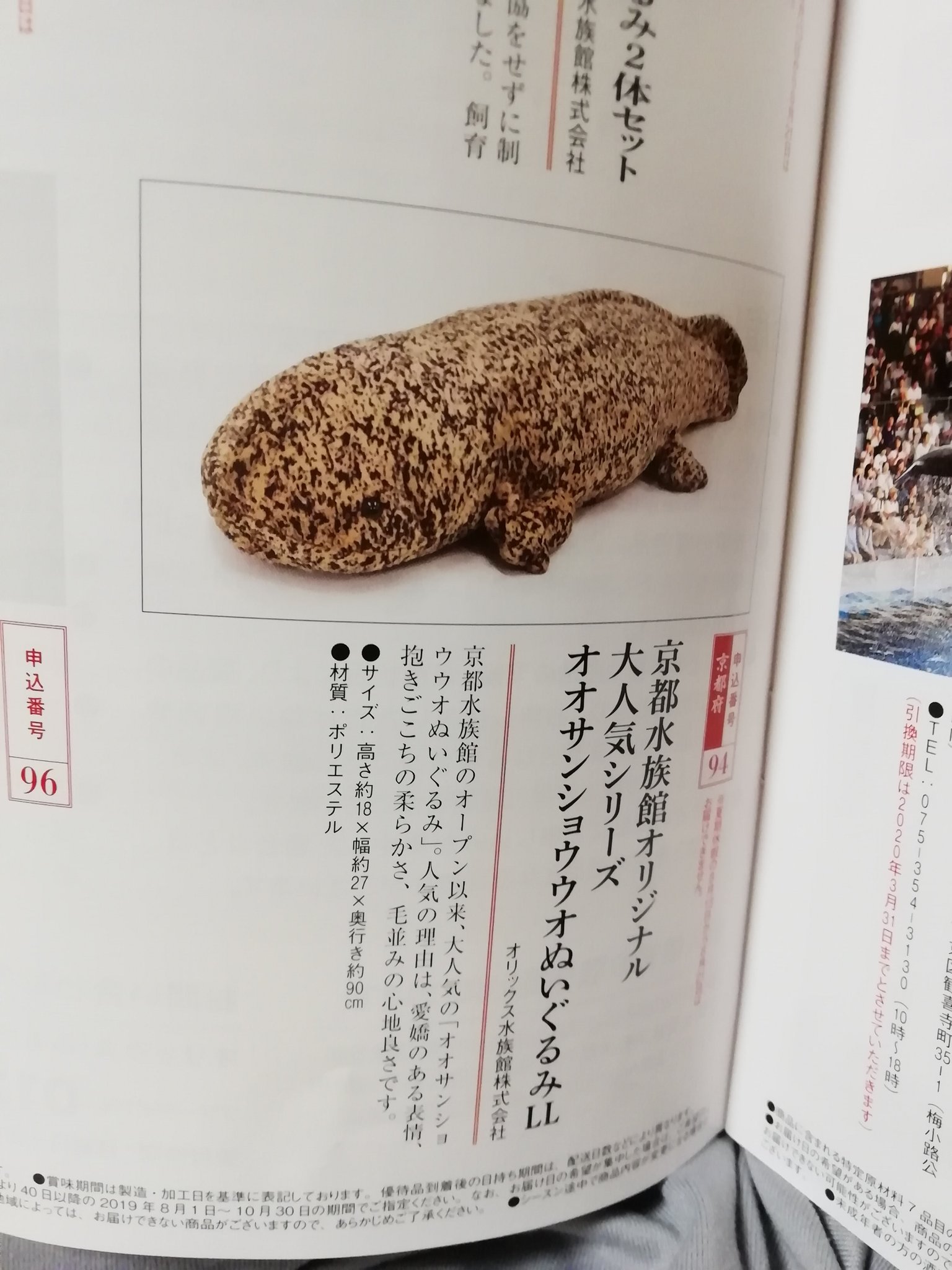 なのふな カタログギフトにチンアナゴとオオサンショウウオのぬいぐるみが載っててもう他のグルメやら雑貨は一切目に入らないし オオサンショウウオ選んだら売り切れだったのでアナゴ二匹セットにするね 楽しみ T Co 49ap6hnjsn Twitter