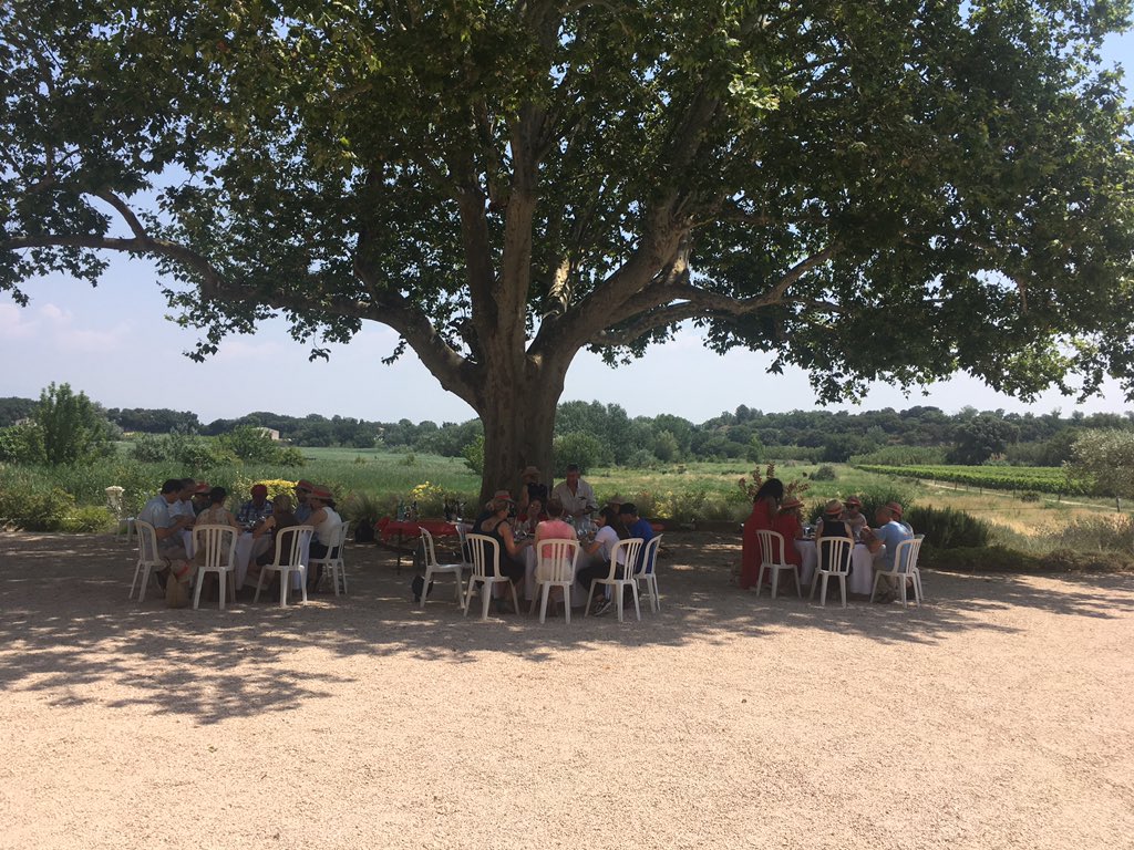 Pause déjeuner à l ombre au Prieure du Clos de l’Oratoire de la <a href="/MaisonOgier/">Maison Ogier</a> : le bonheur ;-) #vinocamp @chateau9dupape
