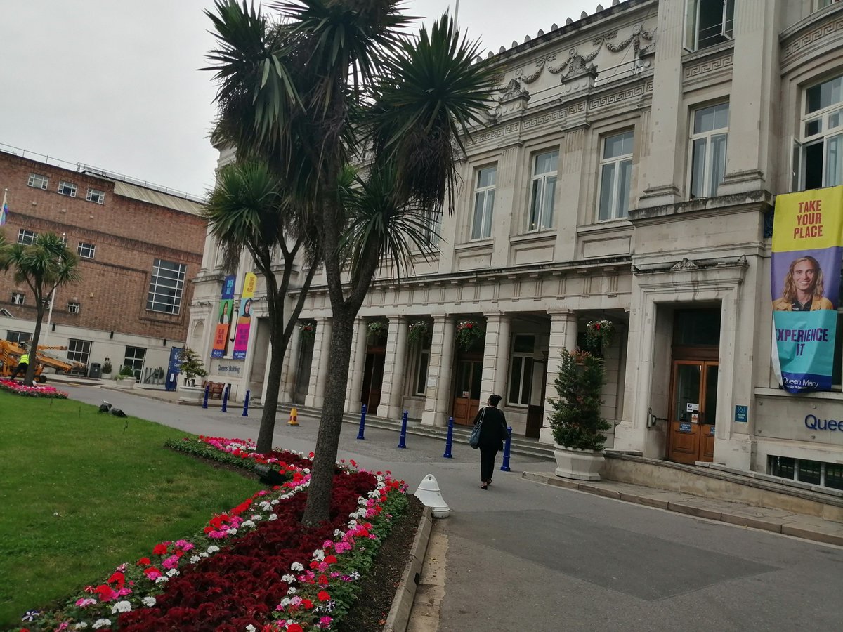 Mariam Zaki tweet media