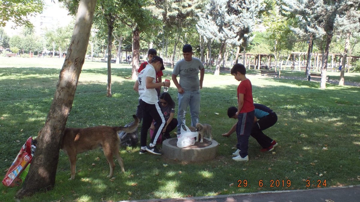 Ç🅰️RŞI VİCD🅰️N’dır
Onlar açlıklarını dillendirip söyleyemezler ama vicdanı iyi olan insanlar bunları anlayabilirler. Ç🅰️rşıDiyarbakır ailesi olarak şehrin farklı yerlerinde hayvanlarla kucaklaştık ve onların içten gülümsemesini sağladık. <a href="/forzabesiktas/">çArşı</a>