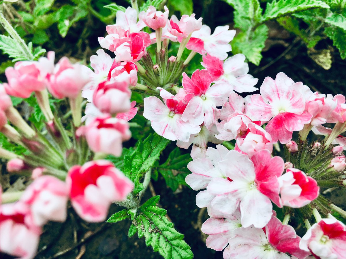 雨の日の独り言 雨の日の独り言