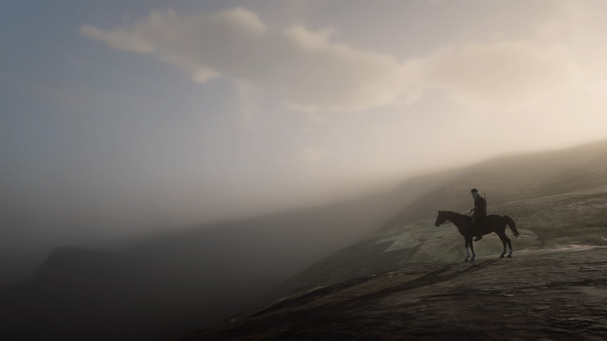 Wild horses, however, are rideable! Finding horses outside the map is the best feeling! Being kicked to death and respawned inside the map is the worst feeling