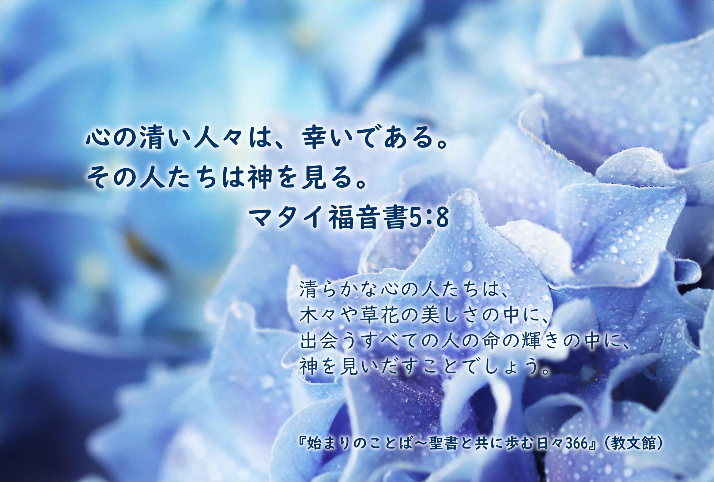 片柳弘史 心の清い人々は 幸いである その人たちは神を見る マタイ5 8 清らかな心の人たちは 木々や草花の美しさの中に 出会うすべての人の命の輝きの中に 神を見いだすことでしょう 始まりのことば 聖書と共に歩む日々366 教文館