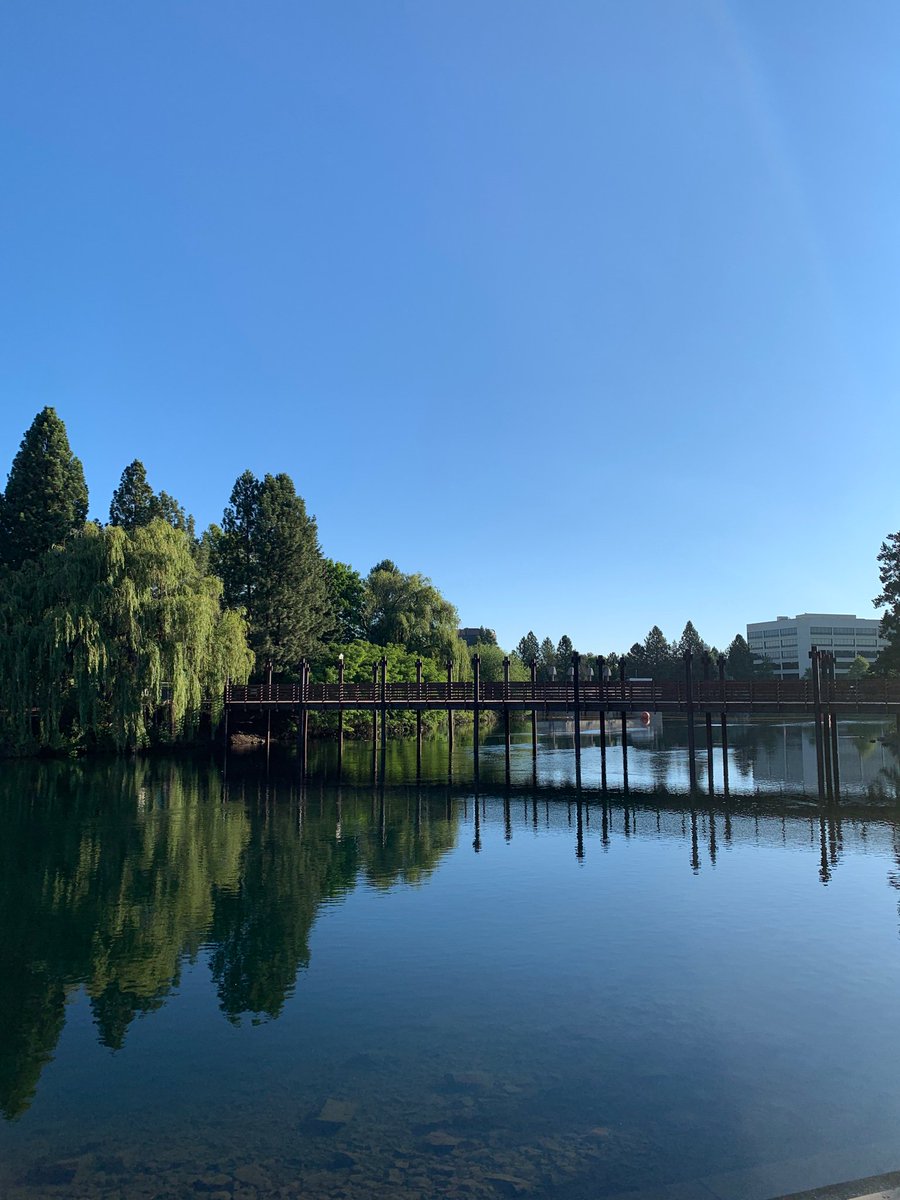 drRumz's tweet image. Good morning, Spokane! #wasaawsp19