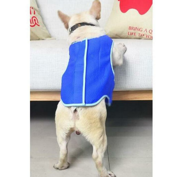 Smart Dog Cooling Jacket🐾 Keeping yor Dog cool and dry throughout all of the seasons😎

Available at: jojos-world.com
_______
#dogshopster #trustedselleronline #dogshoponline #dogswagg #freeshipping✈🌍 #dogjacket #onlineshopping #onlineshop #TeamJoJosWorld