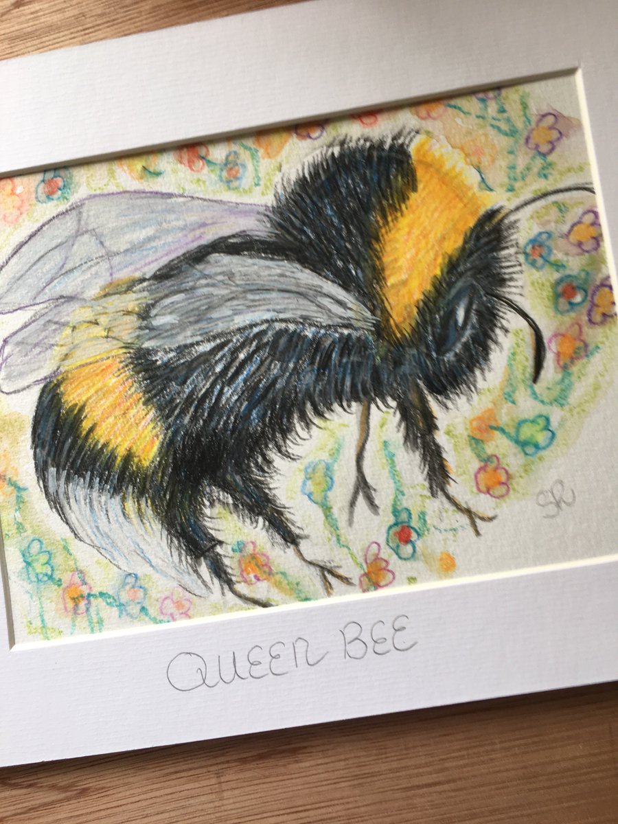 Sandraksnd's tweet photo. I have some new little Bees for sale today for €20 + €5 P&p #scruffydogart #saveourbees #thebeesknees #queenbee #beehold https://t.co/s5SNgYYAVQ