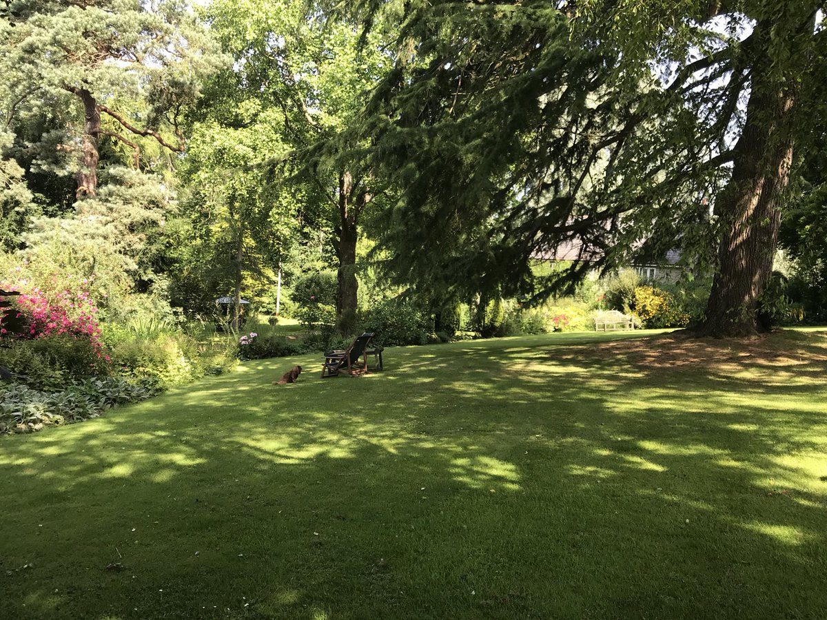 EmmaFord_1's tweet photo. Someoneβs bagged herself a nice shady spot for the day. Resident guest Pheobe making the most of the garden waiting for mum to return #treebreeze https://t.co/GsZD6vBkxa