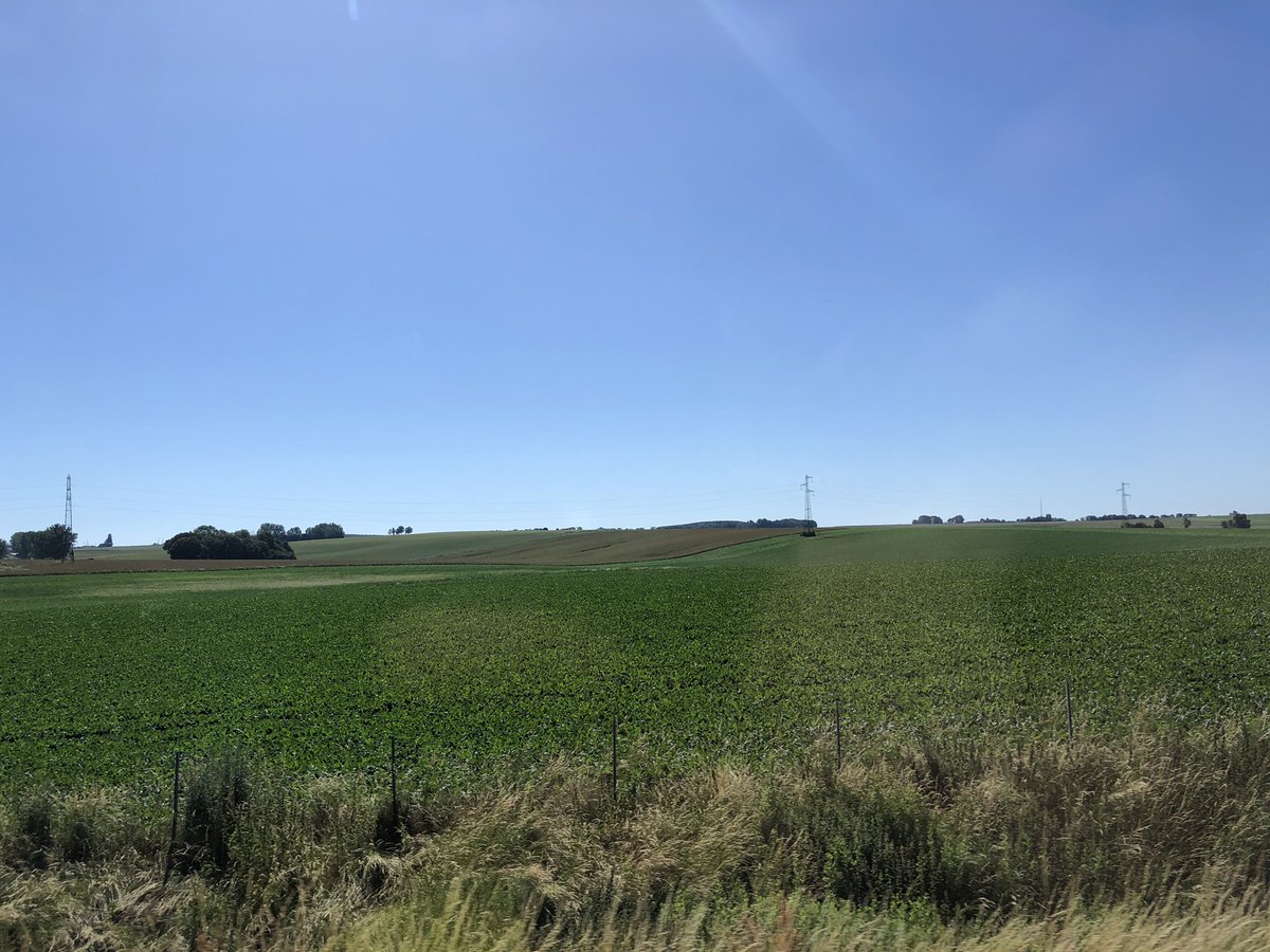 kevinshah91's tweet photo. French Countryside! #countryside #countrysidelife #frenchcountryside #france #saintwiltz #vsco #vscocam #vscogram #vscogrid #travel #traveller #travelphotography #traveldiaries #footprintsofkevin #igs #igers #igaddict #2019 #instagram #picoftheday #instapic https://t.co/nIHrx4Vmdg