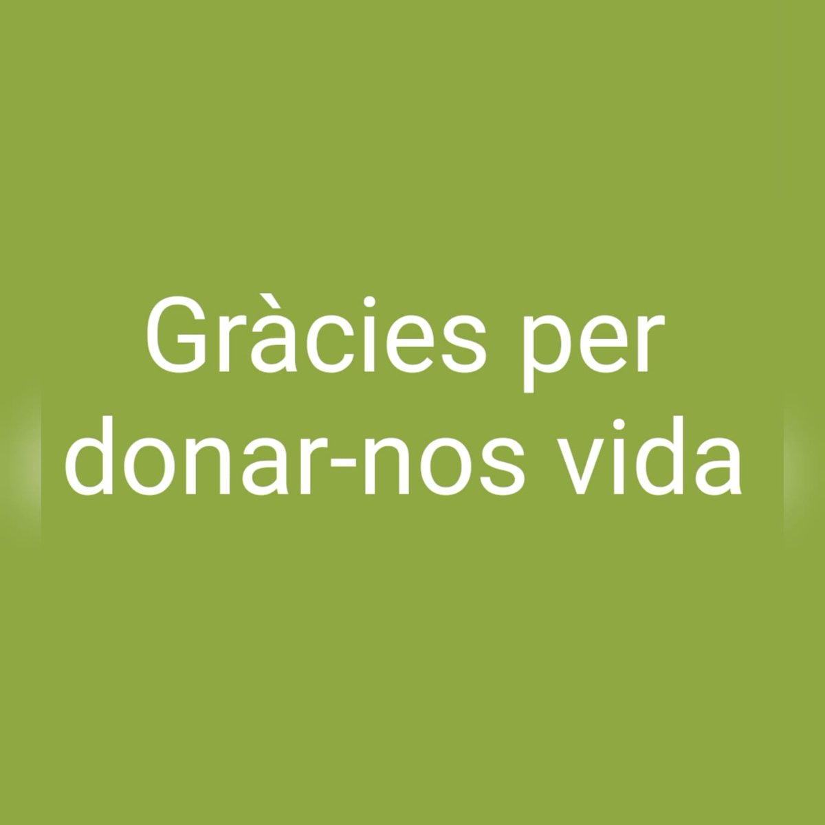 No us imagineu la força que ens dóna per seguir endavant tots els vostres missatges i abraçades. Ens animeu a tirar endavant. 

<a href="/AbelPeraire/">Abel Peraire</a> <a href="/PagesosGPS/">Pagesos GPS</a> #IFTorredelEspanyol #IFRiberadEbre <a href="/la_paissa/">La Païssa</a>