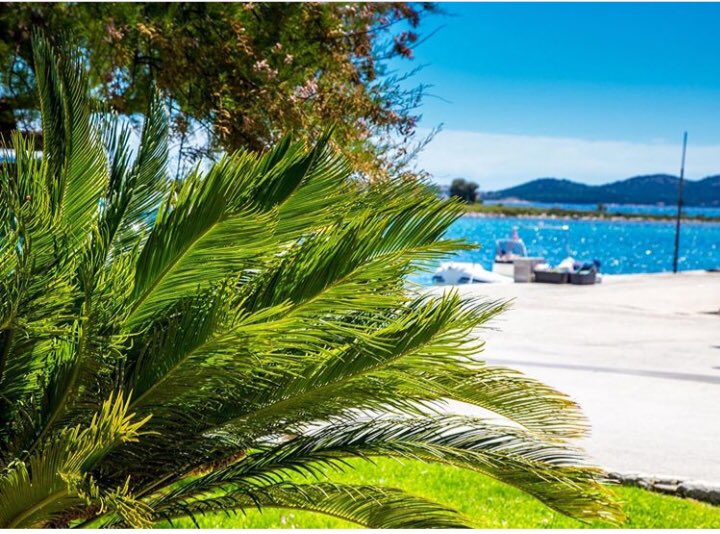 FainendoV's tweet image. 