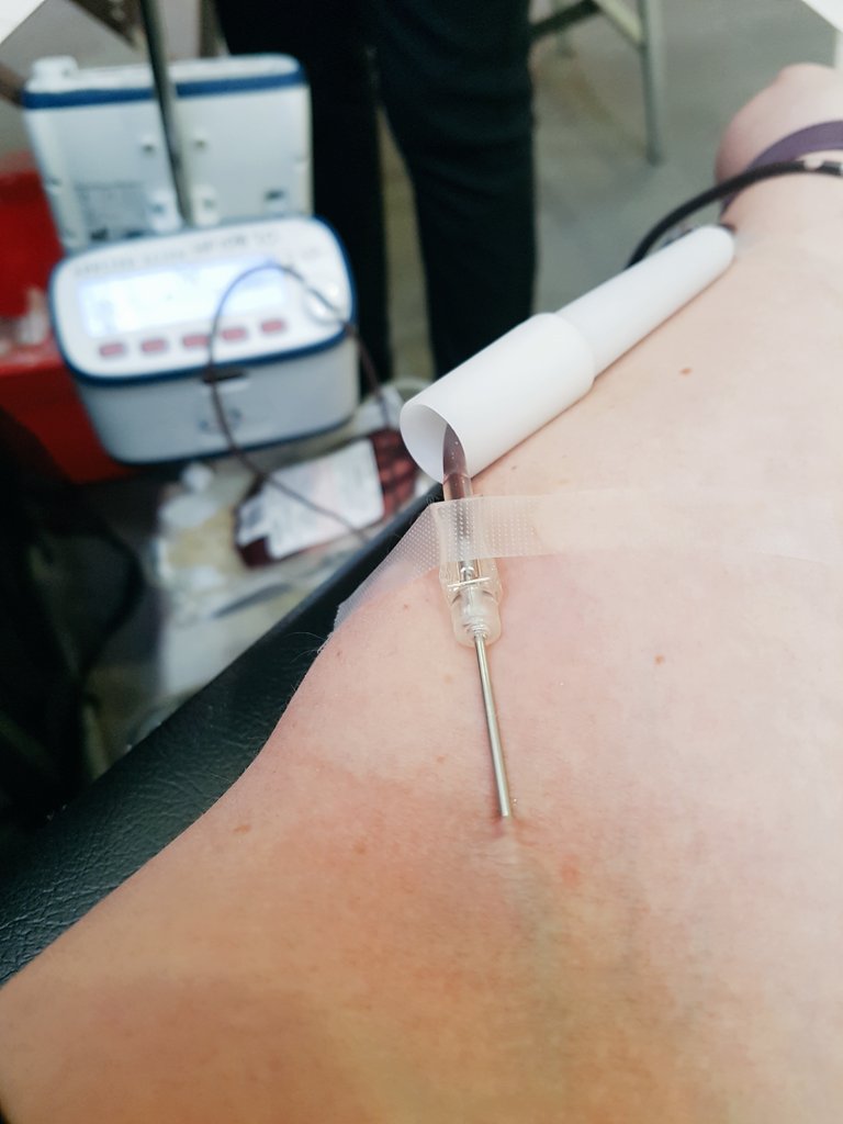 SpicedWeasel's tweet photo. So I messed up my day, so decided to save 3 lives instead by donating blood to @theSANBS #prickme
If you are healthy and you can donate, you get to save lives and you get a cookie.
#BloodDonorMonth #SavingLives #SANBS https://t.co/NOtU5i40oV