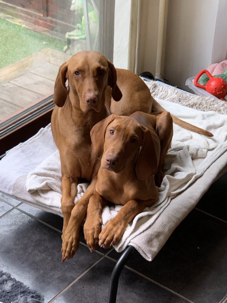 davebrentspence's tweet photo. @PepperellEddie Mum and son, Just back after a early swim in the sea👍 https://t.co/GCnntJgyCa