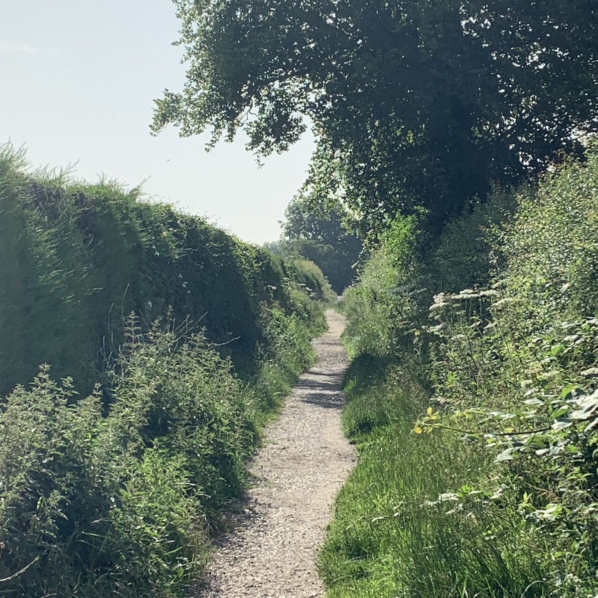 KateGouldGarden's tweet photo. New boots ✅ Morning walk ✅ No blisters 🙌 Training for Kilimanjaro before the sun got 🥵 @knchappers19 &amp; I wouldn’t be doing this if it wasn’t for @PerennialGRBS so sponsor us if you can 🙏 https://t.co/2fyR4z5pAf  #kilimanjaro #walkingforcharity #goodcause #adventure #mountain https://t.co/NLyL3HzLRt