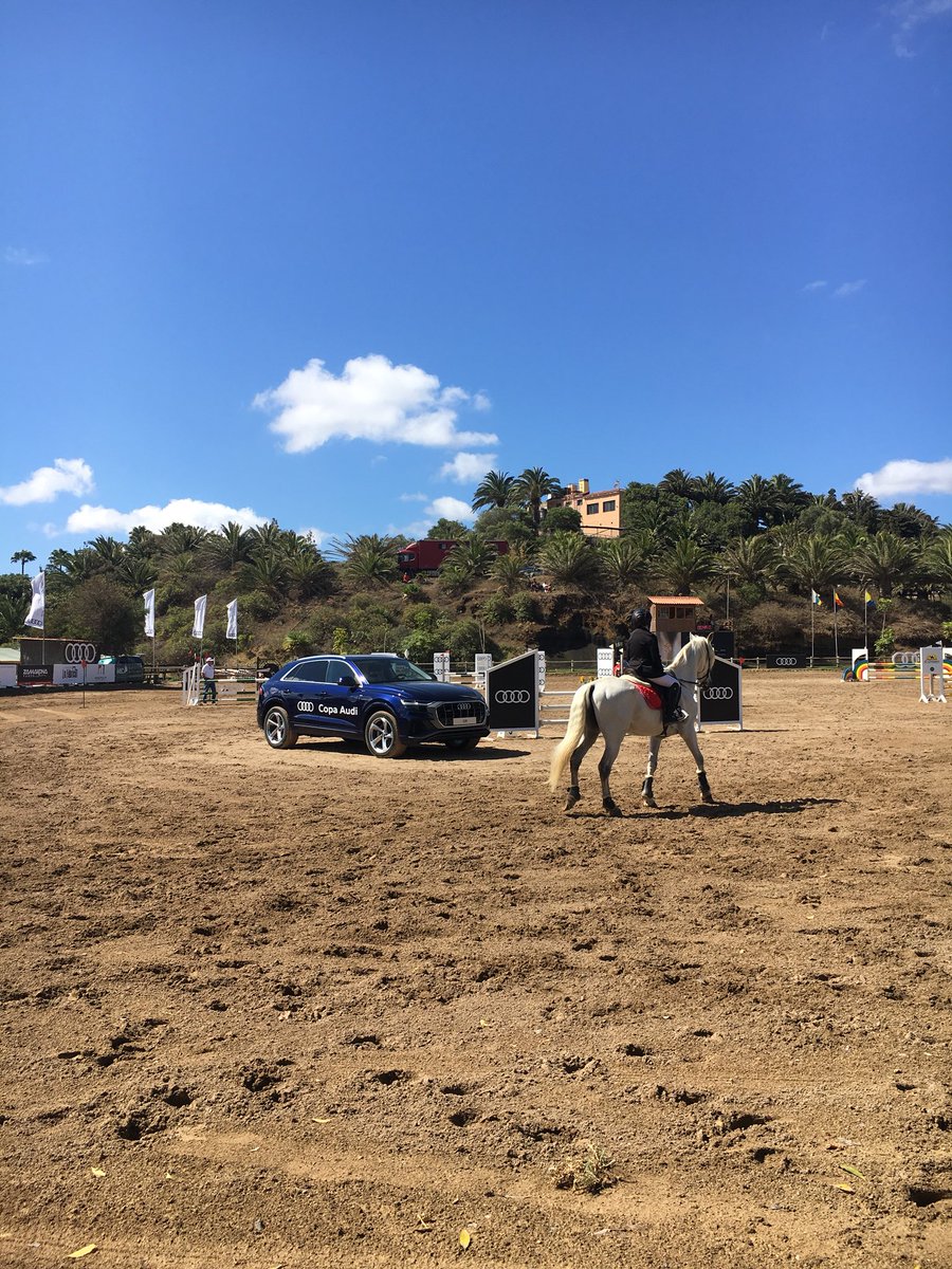 AudiCanarias's tweet photo. II día disfrutando de #CopaAudi en el #RealClubdeGolfdeLasPalmas https://t.co/QWUTwU2Ncc