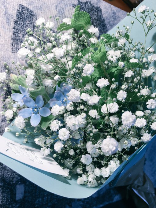 かすみ草の花のtwitterイラスト検索結果 古い順