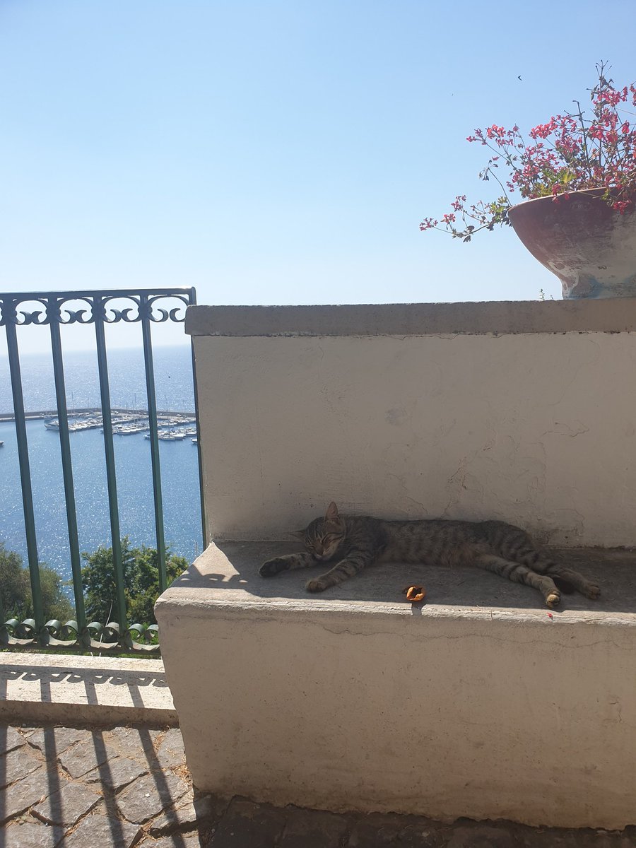 ailsa_10's tweet photo. Some of my favourites from the trip 🇮🇹 https://t.co/jWsoUbGSI7