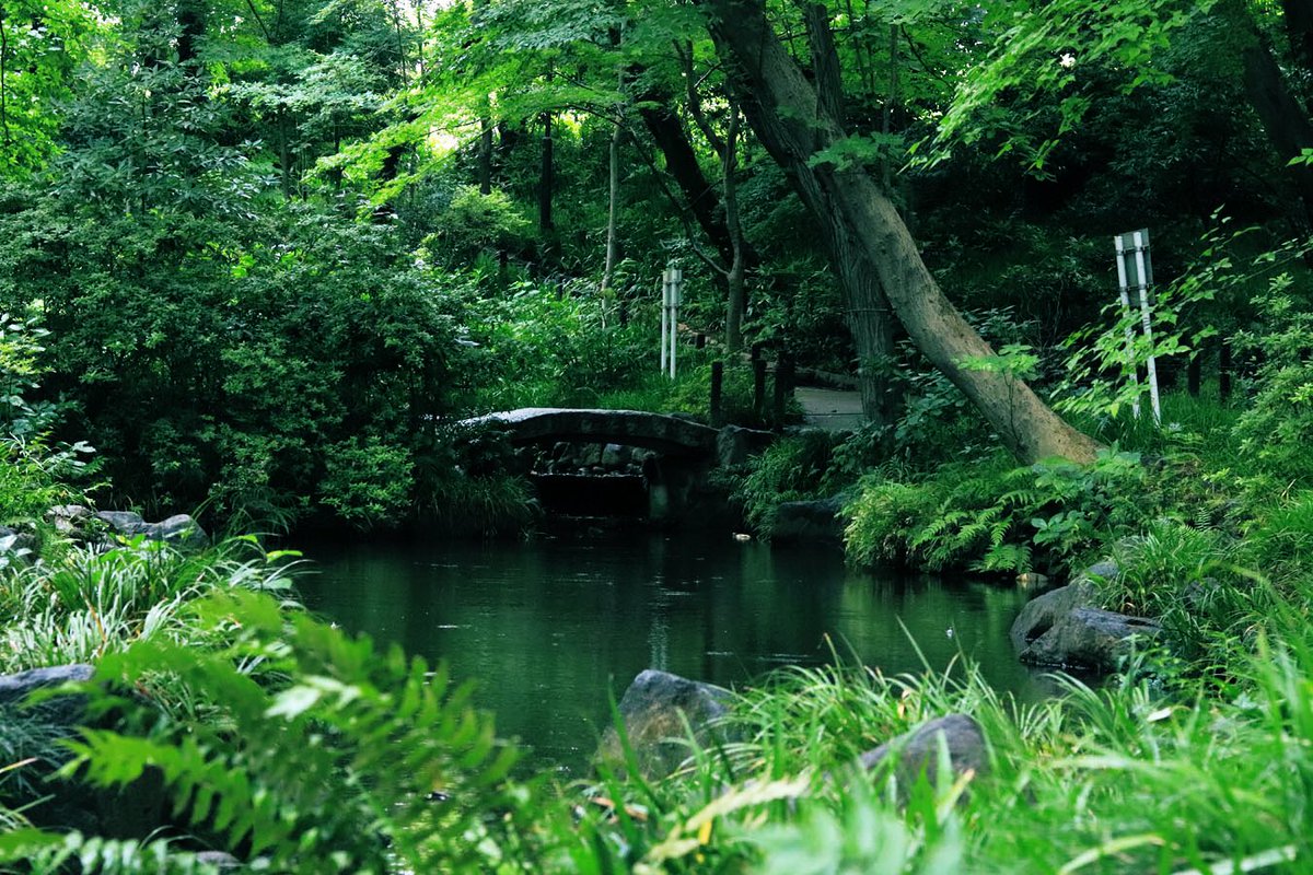 おとめ山公園 おとめ山公園