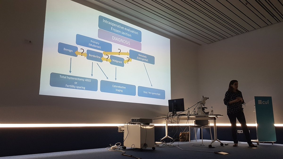 SPAPatologia's tweet photo. Última sessão mas não menos importante: ovário no exame extemporâneo pela Doutora Carla Bartosch 🔬🙂 #ENI #NISPAP #SPAP https://t.co/g3nbmlfY78