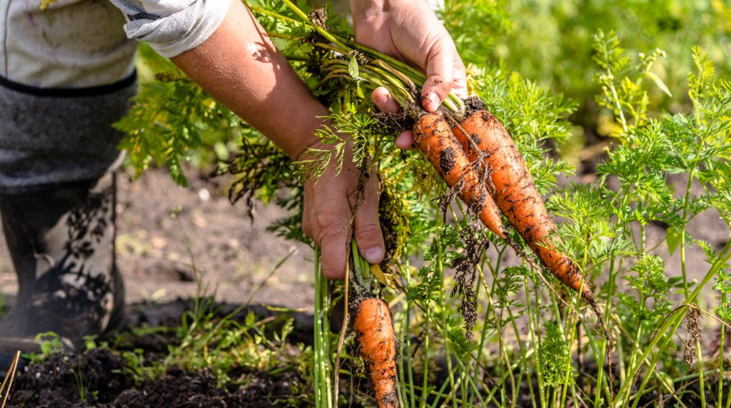 Triodos Bank UK (inactive) (@triodosuk) on Twitter photo Our new food and agricultural vision document is here. It calls for a complete overhaul of our current #food and agricultural systems. triodos.co.uk/press-releases… <a href="/SusFoodTrust/">Sustainable Food Trust</a> <a href="/FoodEthicsNews/">Food Ethics Council</a> <a href="/organicUK/">organicUK</a> <a href="/slowfoodUK/">Slow Food in the UK</a> Our new food and agricultural vision document is here. It calls for a complete overhaul of our current #food and agricultural systems. triodos.co.uk/press-releases… <a href="/SusFoodTrust/">Sustainable Food Trust</a> <a href="/FoodEthicsNews/">Food Ethics Council</a> <a href="/organicUK/">organicUK</a> <a href="/slowfoodUK/">Slow Food in the UK</a>