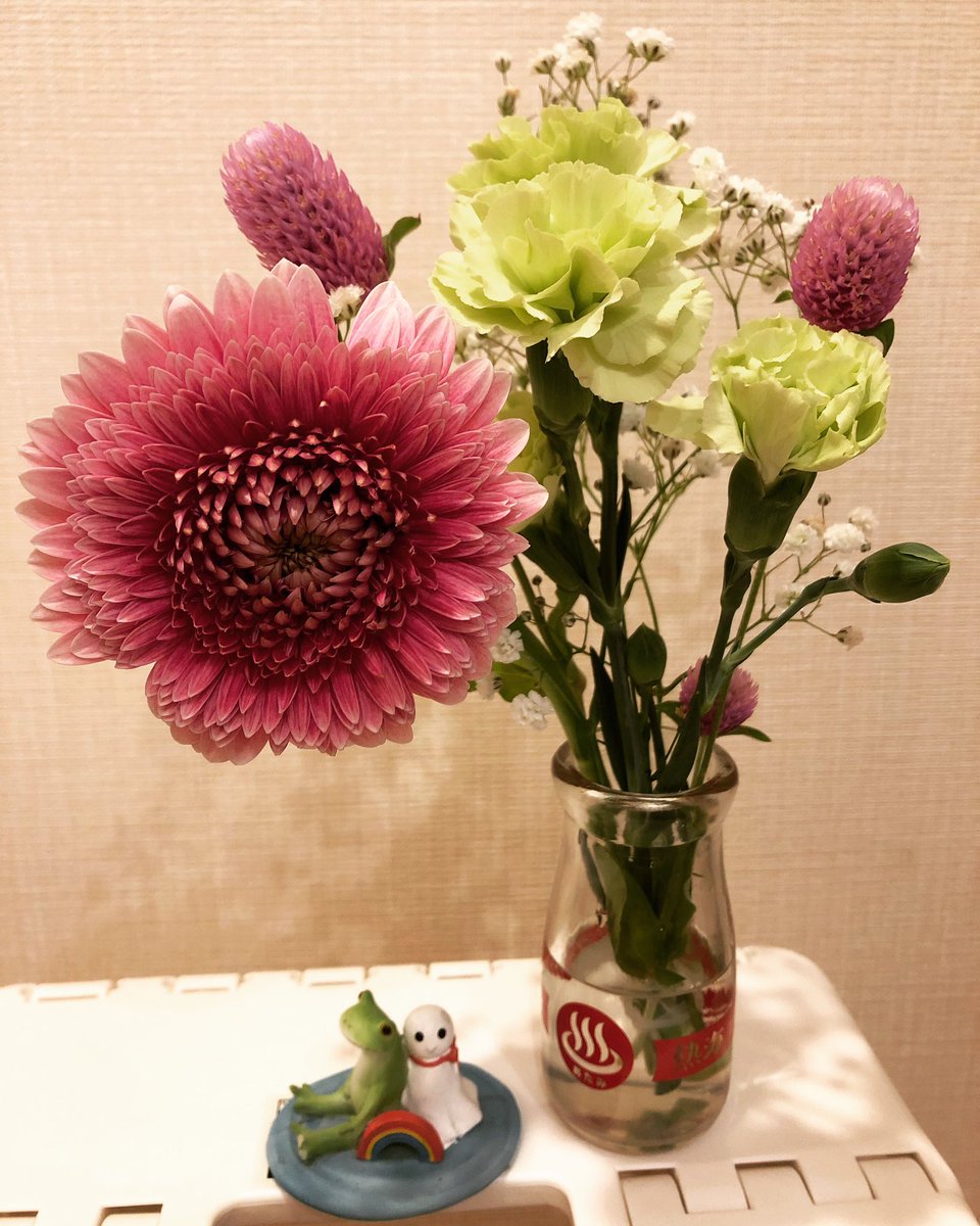 nanakan_sUaD's tweet photo. 今週の一輪。

#ガーベラ #スプレーカーネーション #カスミソウ #センニチコウ #bloomeelife #NOONFLOS #今週の一輪 https://t.co/r3nqVu9lXM