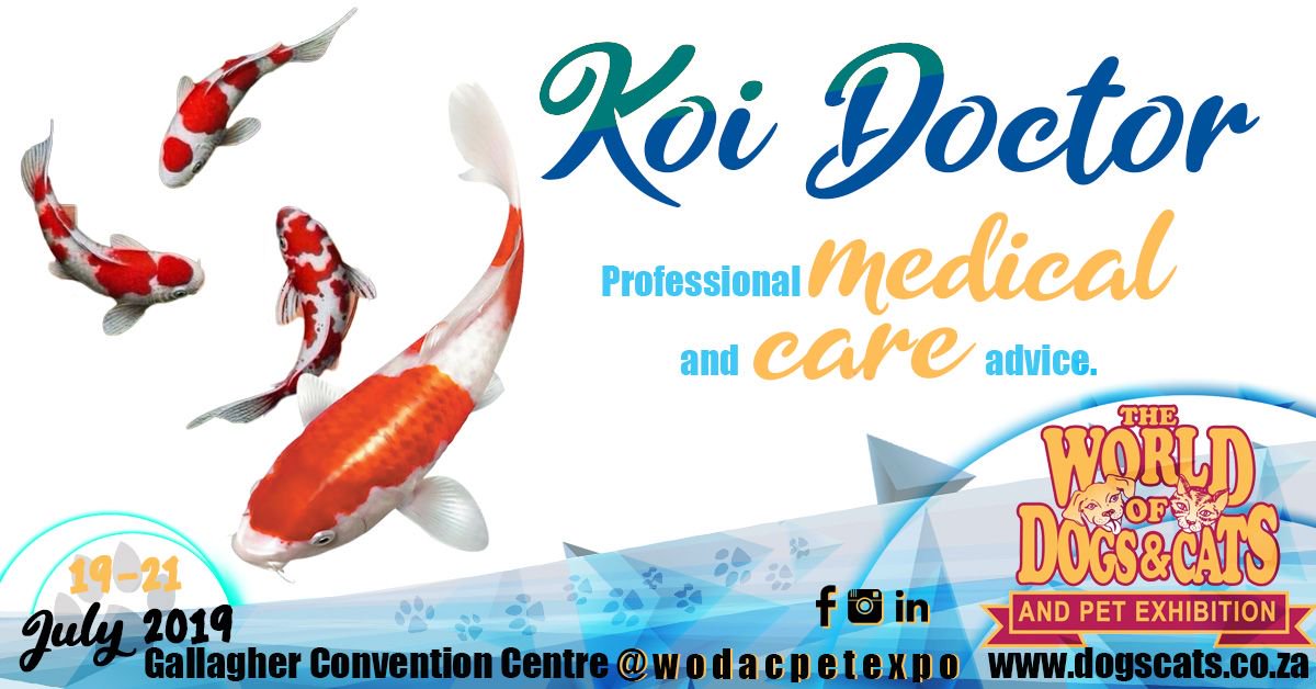 wodacpetexpo's tweet photo. Enjoy the company of the KOI Doctor / MEDIC who will be offering enthusiasts info & assistance they need in looking after Koi Fish.
More info https://t.co/s5FGC90z6b
#KoiEvent #KoiFish #KoiShow #Johannesburg #InstaKoi #KoiOfInstagram #ShowKoi #Midrand https://t.co/3C6QNRu8EY