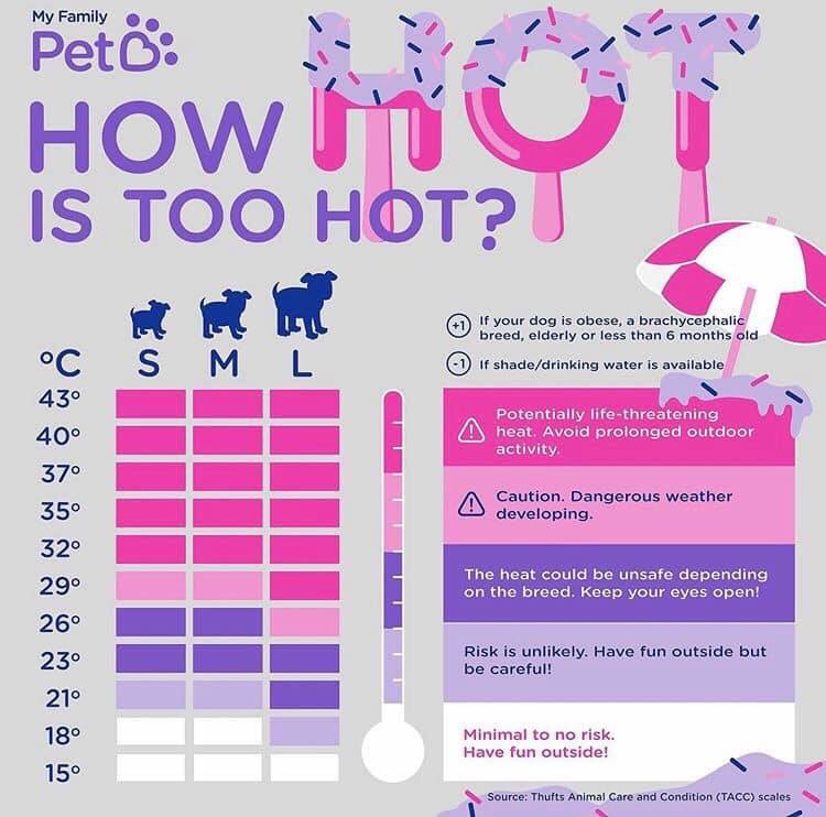 LondonRoadVets's tweet photo. How hot is too hot?🔥

It’s going to be a scorcher this weekend! Remember not to walk your dog out in the heat and to provide all pets with access to water and shade at all times!

☀️☀️☀️

#feelinghothothot #heatingup #safety #bewise #hotstuff #londonroadvets #holliesvets https://t.co/QcIiDrLTQy