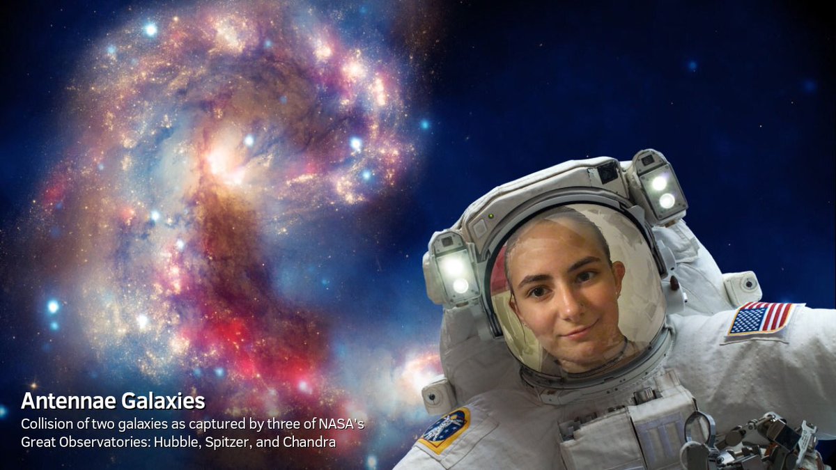 Greeneville Girls tweet media