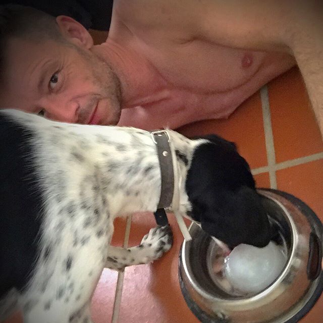 helloSt3phan's tweet image. With the hot weather, I was a bit worried that LadyBug doesn’t drink enough water. So I froze some treats in water and it seems she can’t get enough of that! Yay! .
.
.
.
.
.
.
.
#gayswithdogs #gaysanddogs #pointersofinstagram
