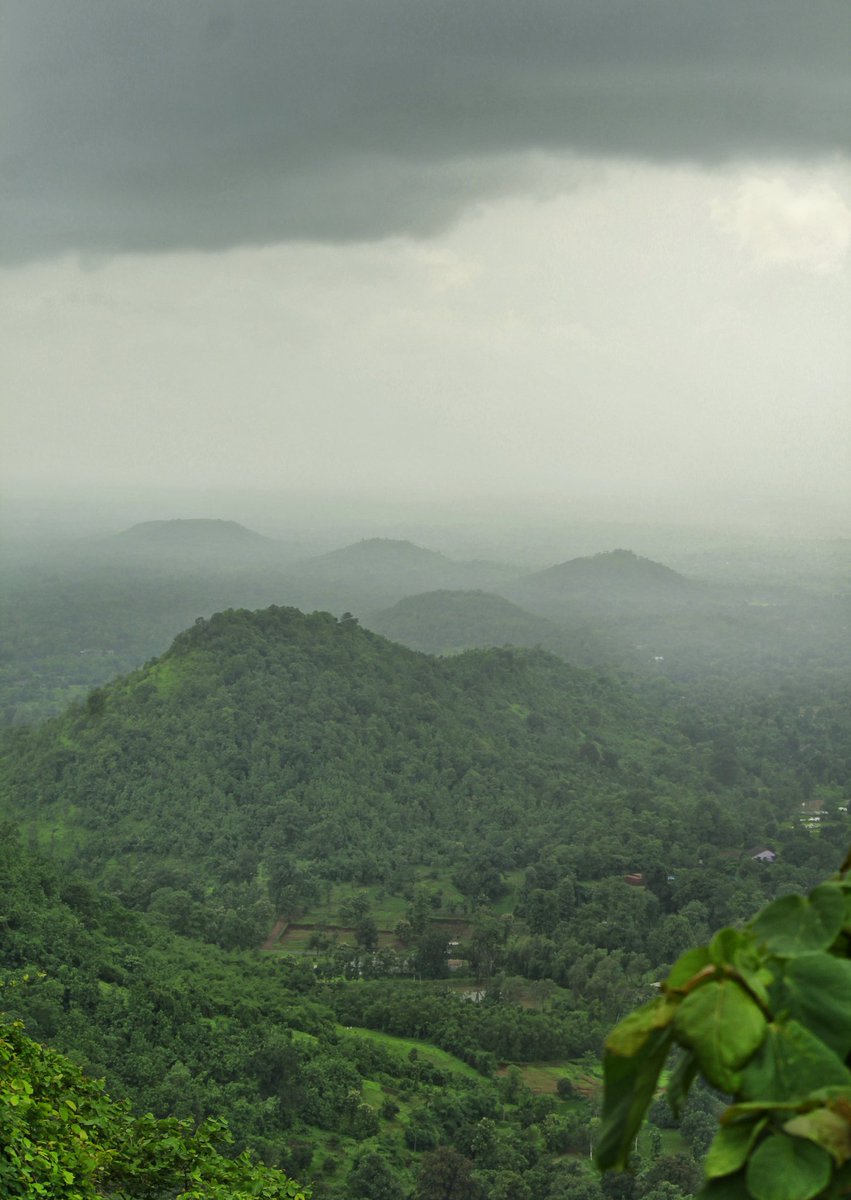 Chiraggohil39's tweet photo. Monsoon is Arrived 😍 🌧️
Happiness back of Mother Nature ☺️
Mountain sunk in clouds 🌫️
(Photo from last year Monsoon)
.
Shot on Canon 1300D + Canon 18 - 55 mm Lens
.
#nature_perfection  #grennery #godcreation #pathway #ajmalghad #monsoonbeauty #greenbeauty #cloudporn https://t.co/N4VTHsvSey