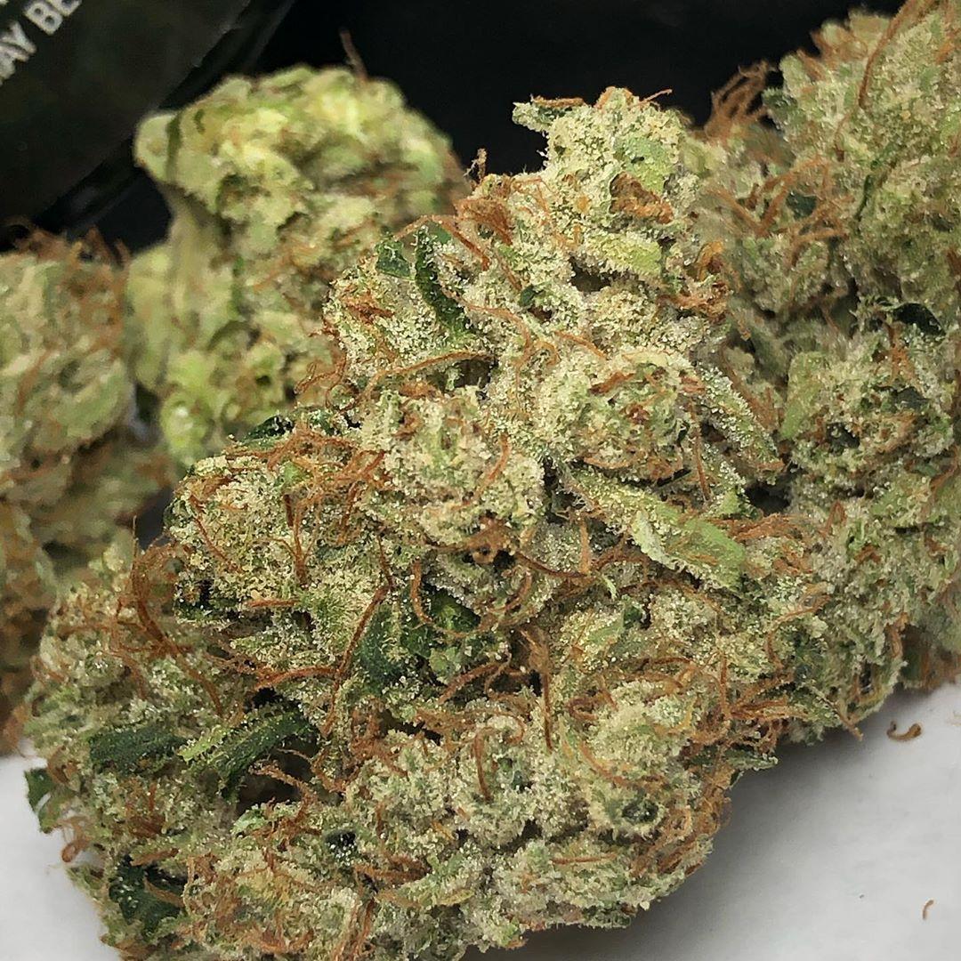 julluskush's tweet photo. #Mmemberville 🍃☘🌴call/text +1 7142 485 721 or email jullusdalinghaus@gmail.com for quick delivery 🇺🇸
#marijuana #marijuana420 #sticky #bud #buddha #loudpacks #loudpackextracts #loud #plug #plugweed #cannabis #420 #iamyourplug #thc #Cbd
#cannabislifestyle #weedlifestyle https://t.co/QAtquwYBXy
