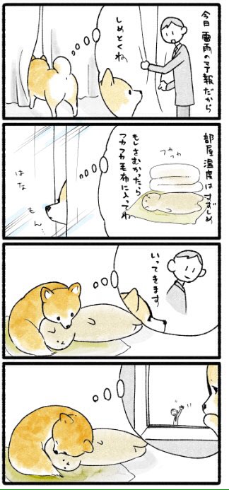 梅雨の日のおるすばん 