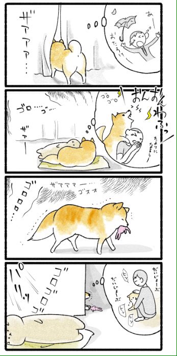 梅雨の日のおるすばん 