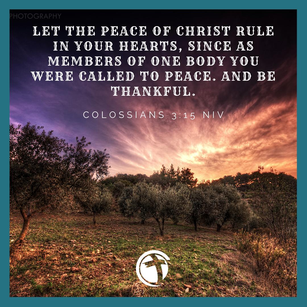 Discover Life Church tweet media