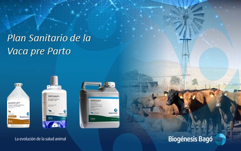 JuanCMuriel's tweet photo. Hoy hablamos sobre la importancia de aplicar un Plan Sanitario en la Vaca pre parto para prevenir y reducir el impacto de enfermedades y carencias que generan menor eficiencia productiva del rodeo #RotatecJ5 #Suplenut #Arrasa #Sanidad #Prevención #BiogénesisBagó @HoradelCampo590 https://t.co/FBWFEl3Y76