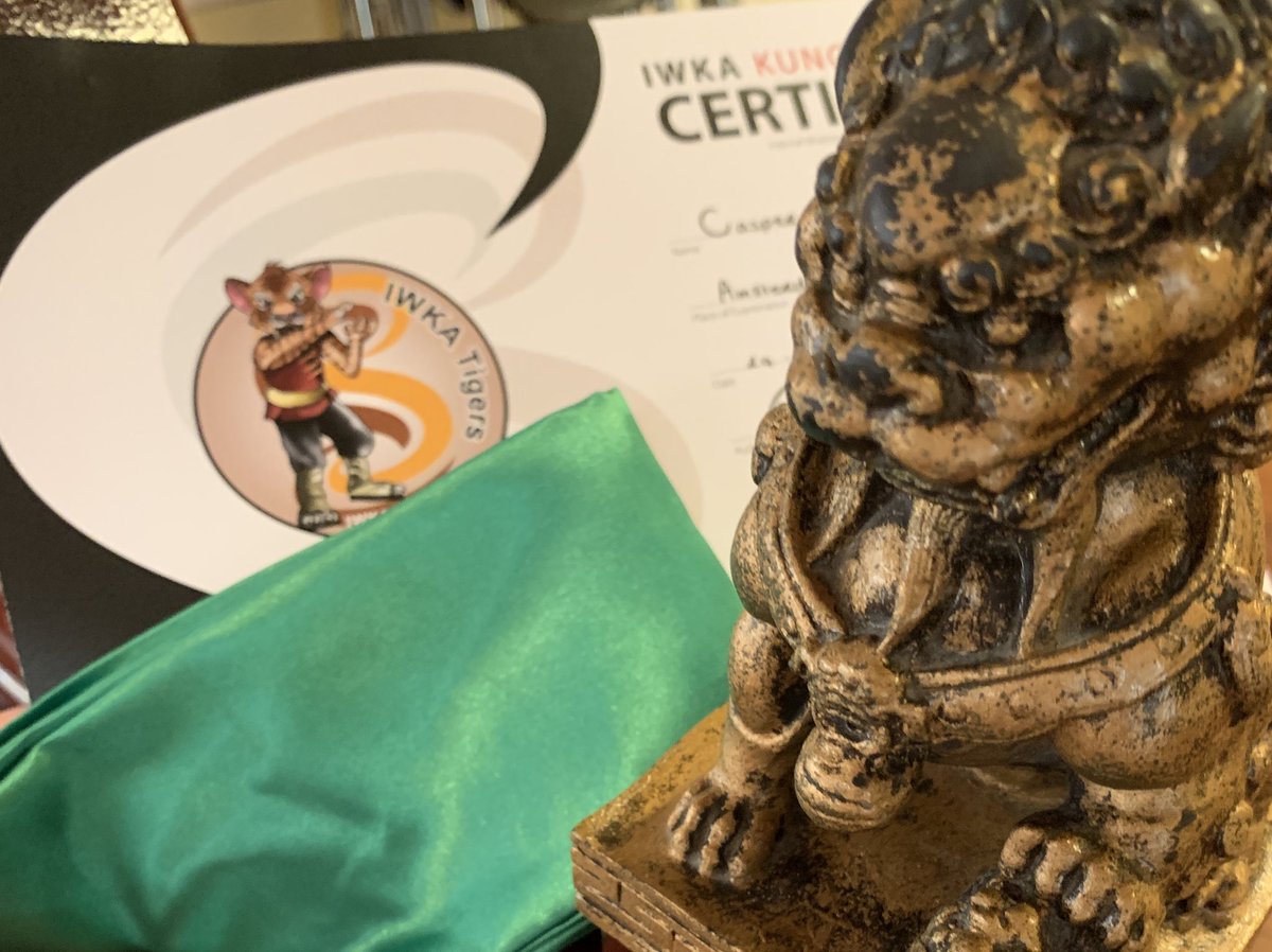 florismreijen's tweet photo. Junior advanced to 💚#greenbelt today @sifusergio’s #IWKA #WingTjun #KungFu #Amsterdam HQ. https://t.co/iP1Vj3F6bt