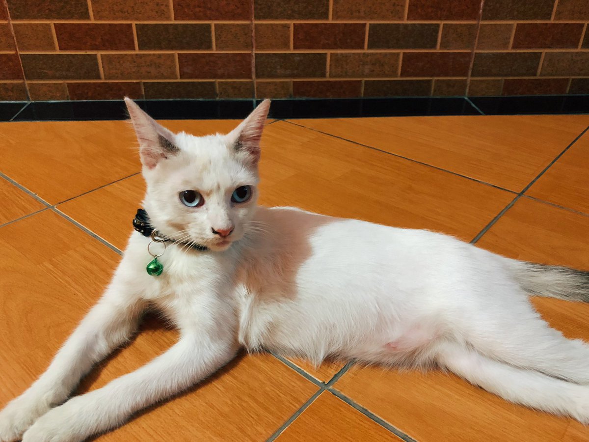 Kesel aku tuh diisengin melulu